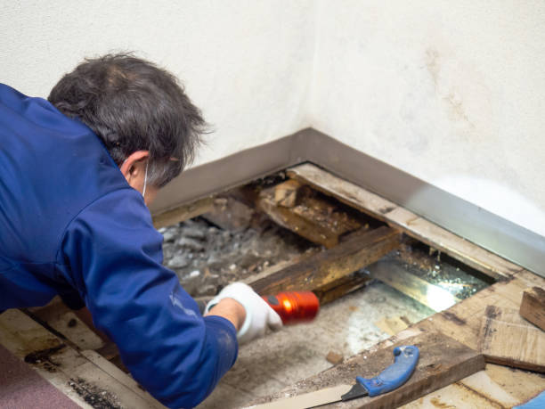 Best Crawl Space Mold Remediation in Chatmoss, VA