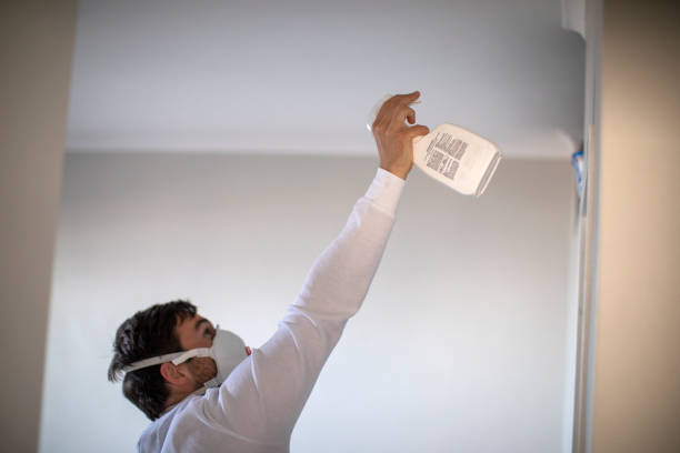 Best Health and Safety Mold Remediation in Chatmoss, VA