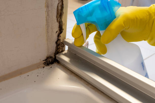 Best HVAC Mold Remediation in Chatmoss, VA