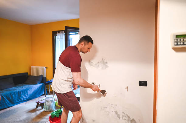 Best Residential Mold Remediation in Chatmoss, VA
